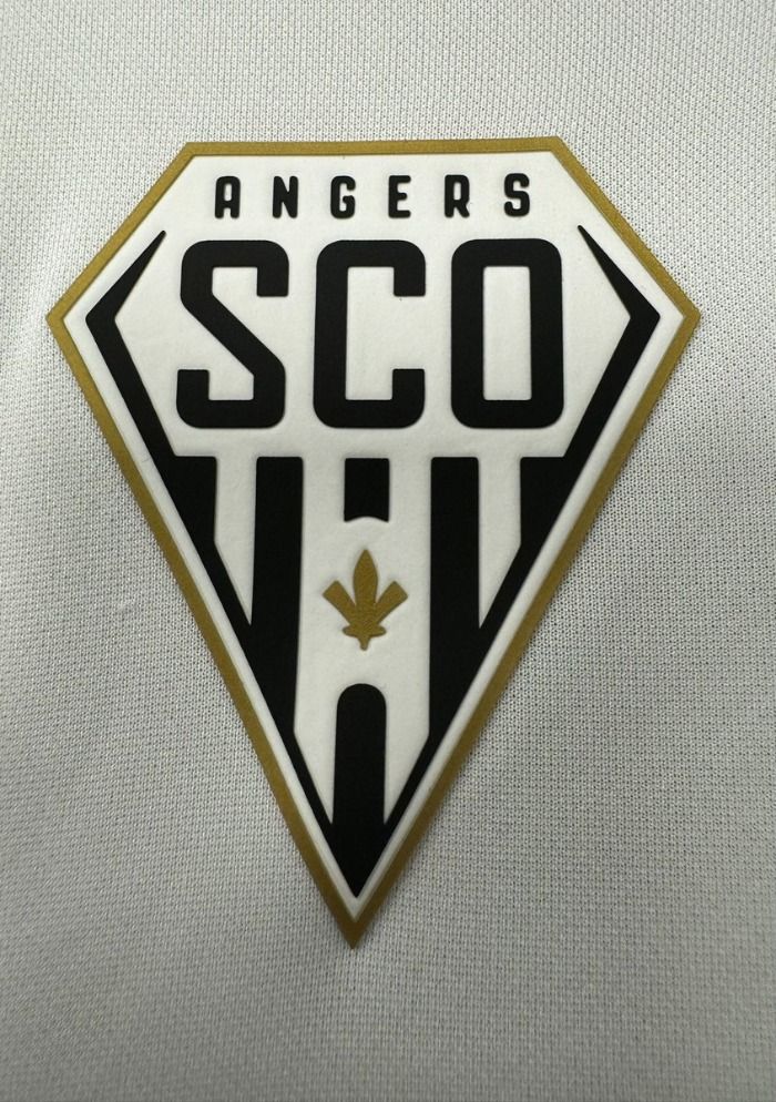 Le SCO d'Angers sera expulsé de la ligue 1 pendant douze années